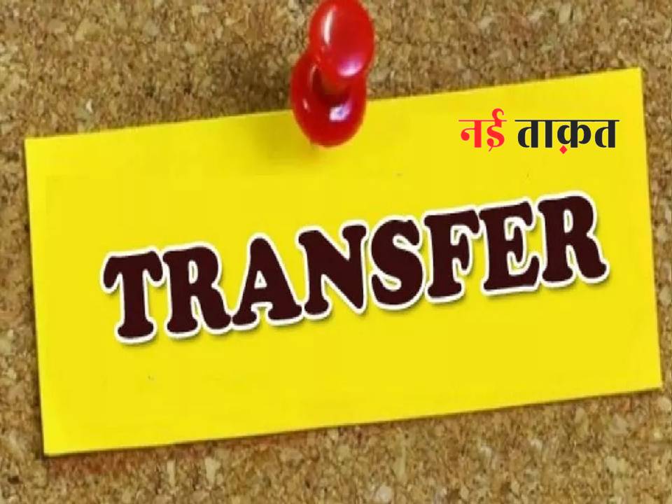 MP Transfer