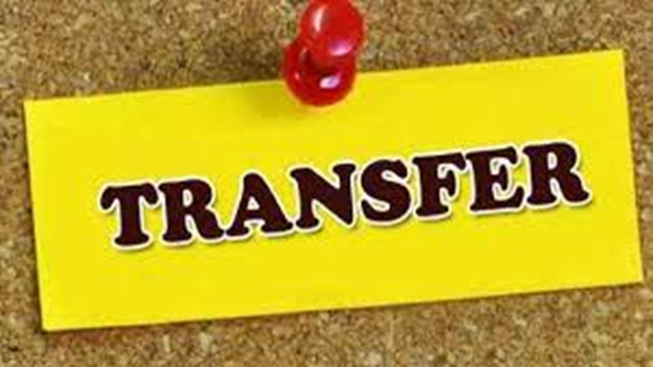 MP News Transfer