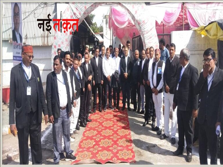 Singrauli News: जिला अधिवक्ता संघ के अध्यक्ष बने बृजेन्द्र देव पांडे