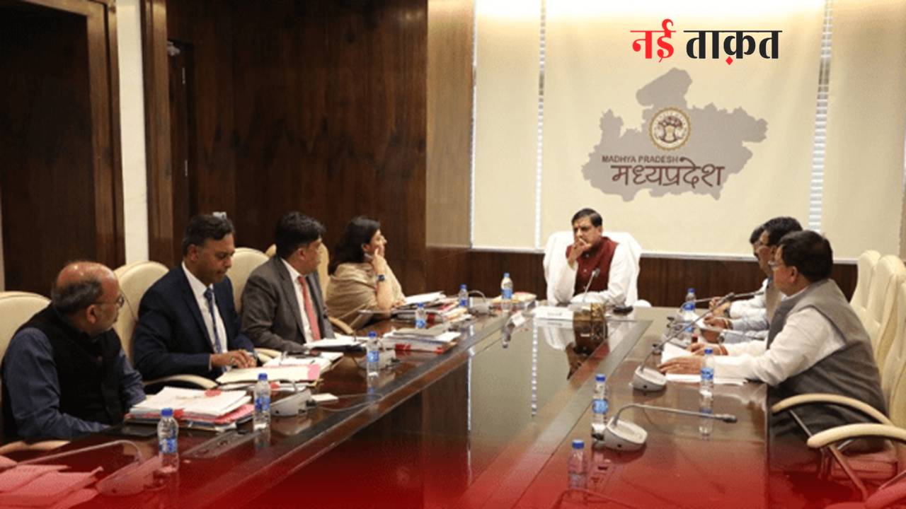 MP News