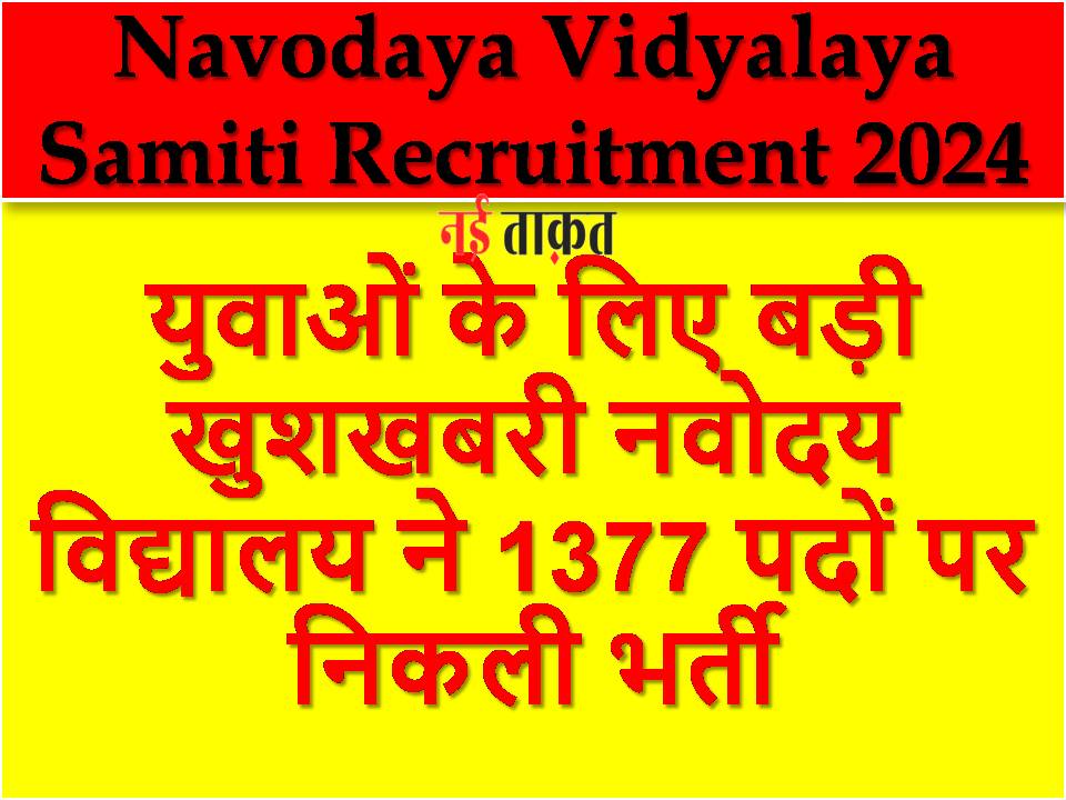 NVS Vacancy 2024