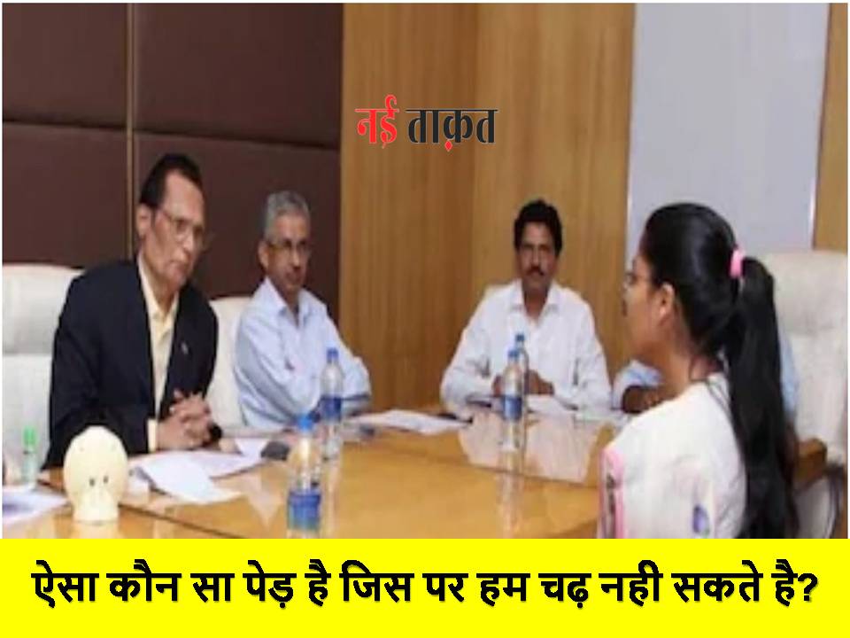 IAS Interview Question