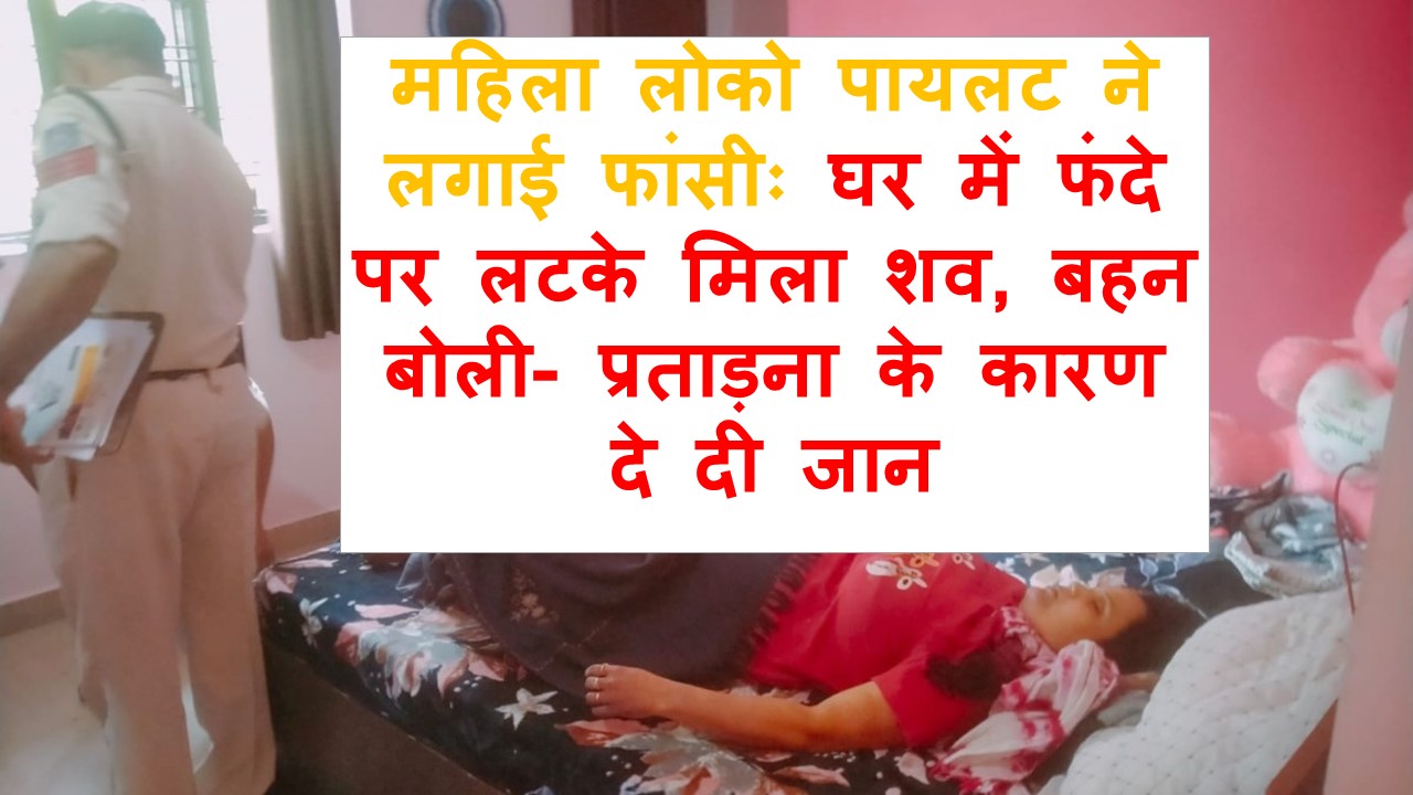 MP NEWS