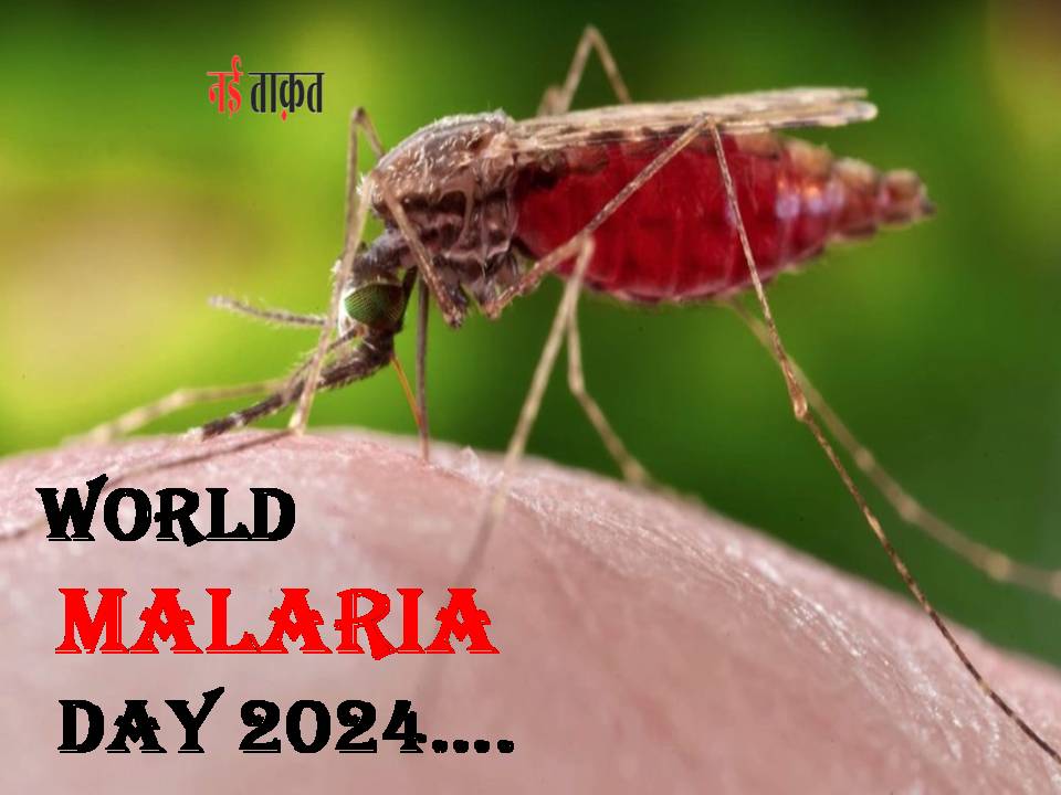 World Malaria Day