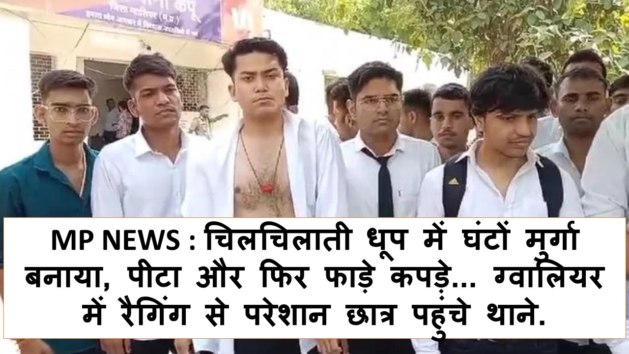MP NEWS