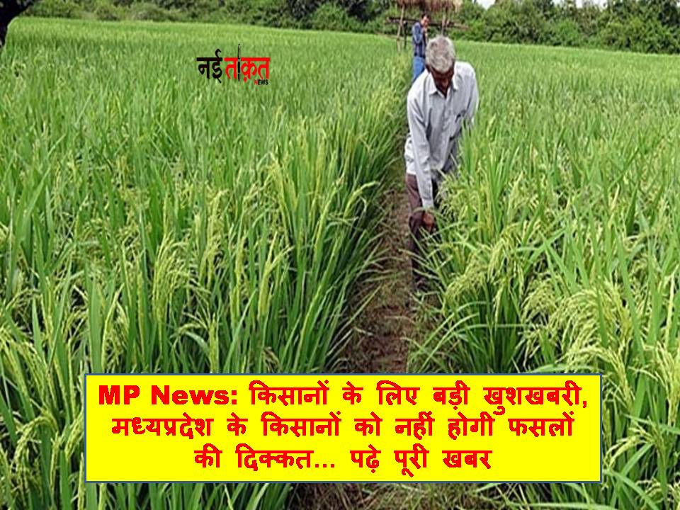 MP News