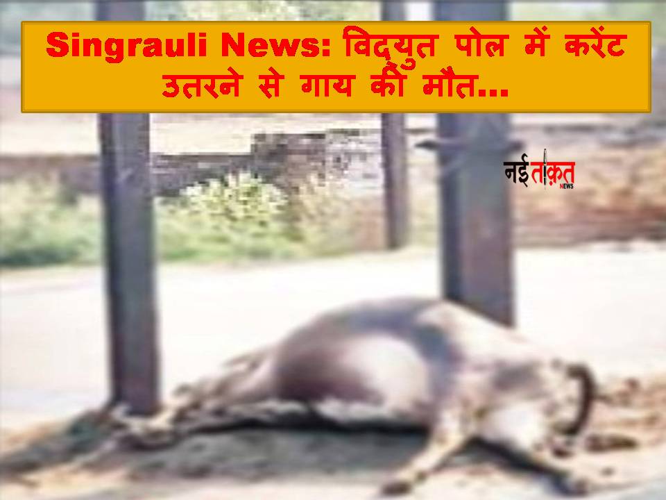 Singrauli News