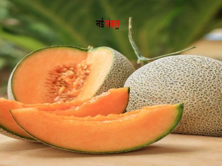 Muskmelon