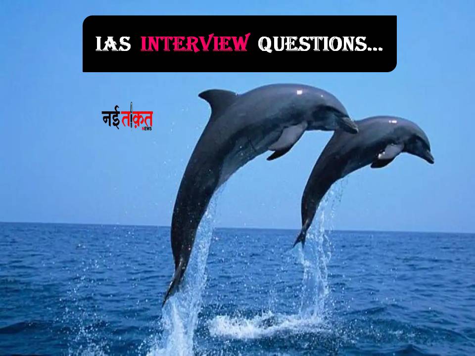 IAS Interview Questions