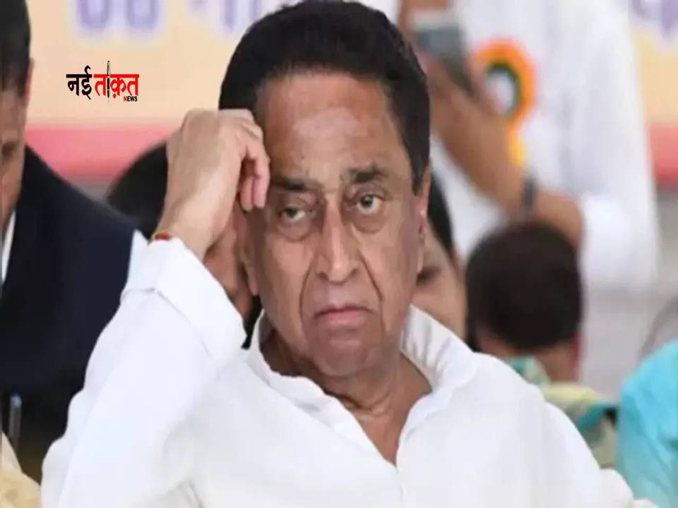 MP News