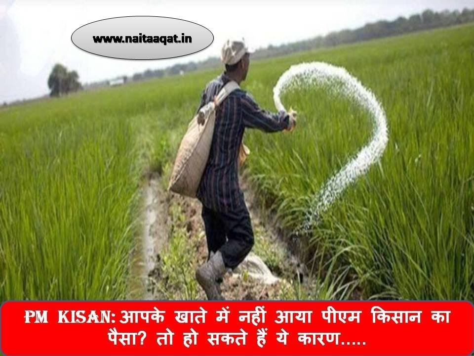 PM Kisan