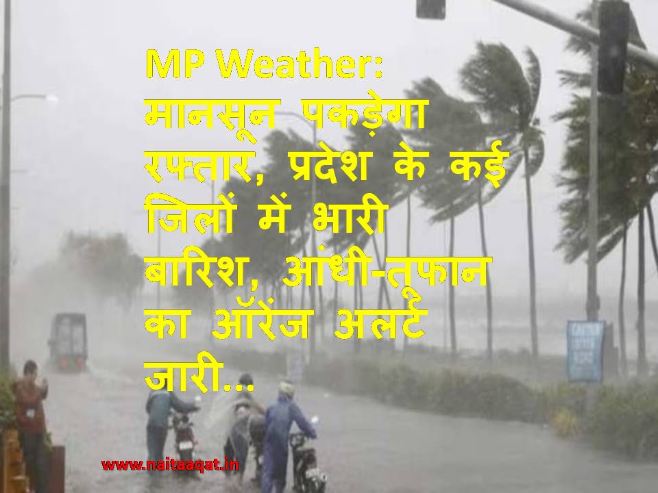 MP Weather