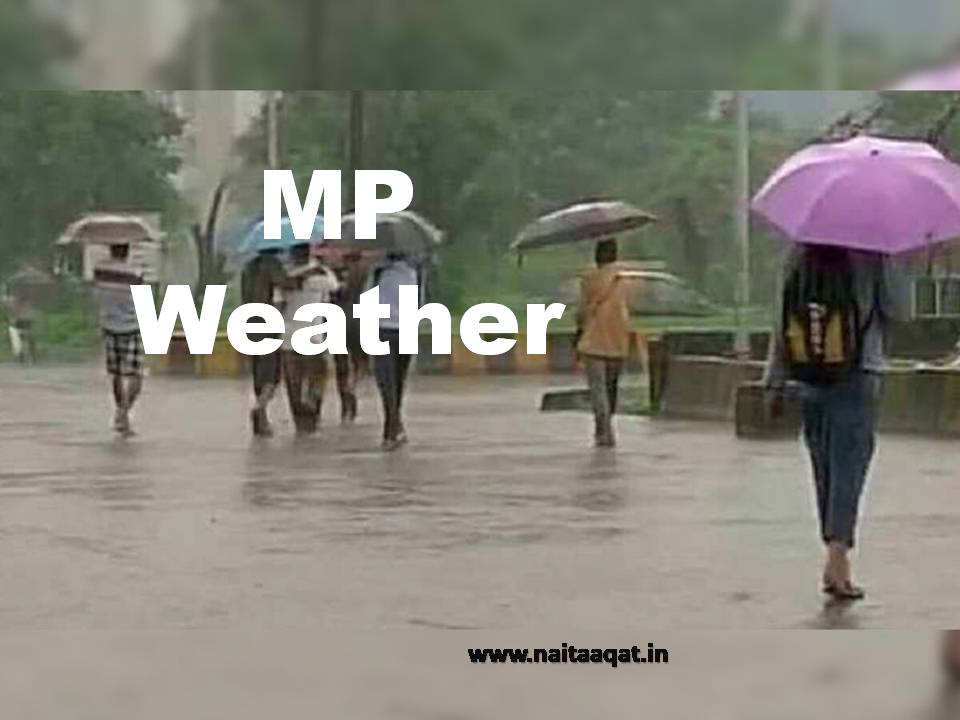 MP Weather