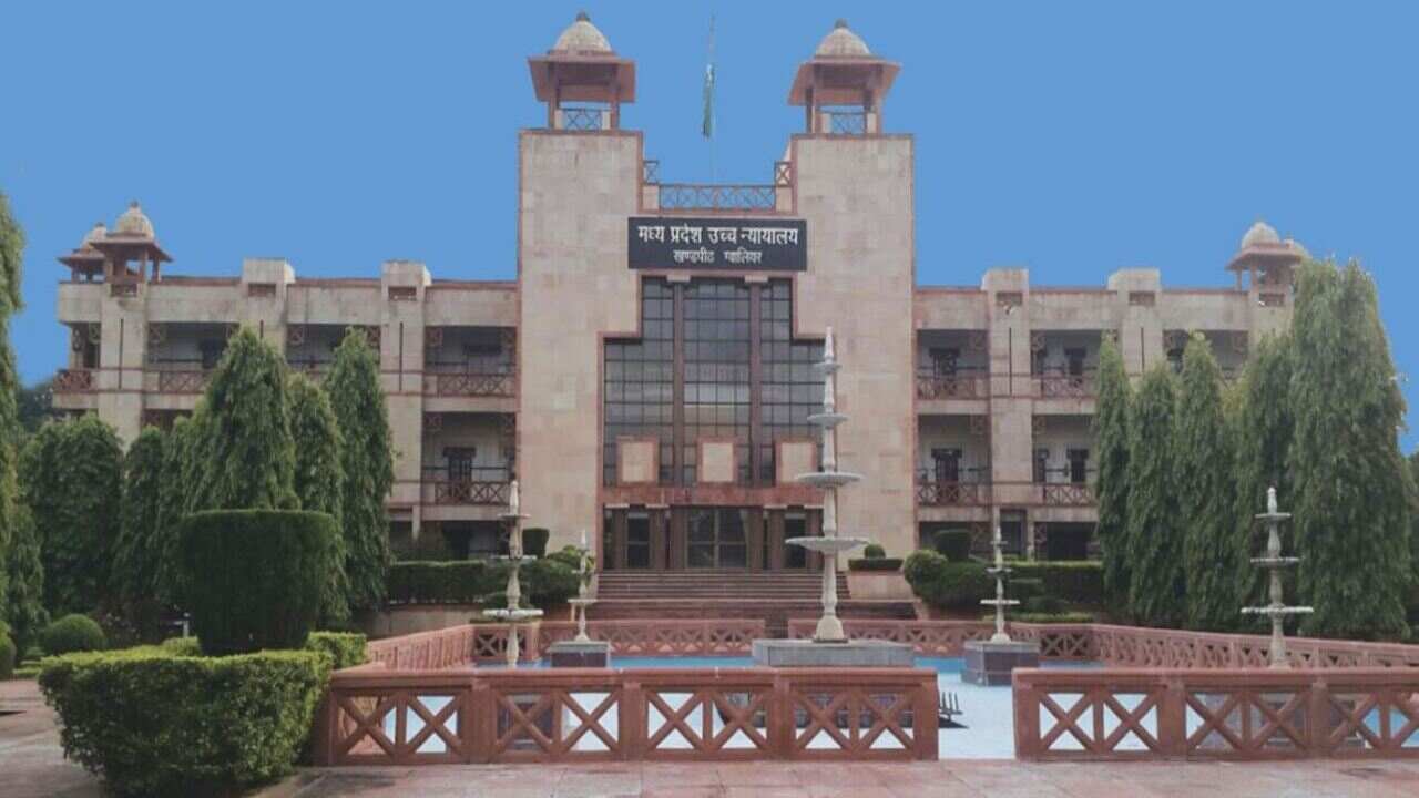 High Court आवारा जानवरों को लेकर सख्त, नौ कलेक्टरों को नोटिस जारी