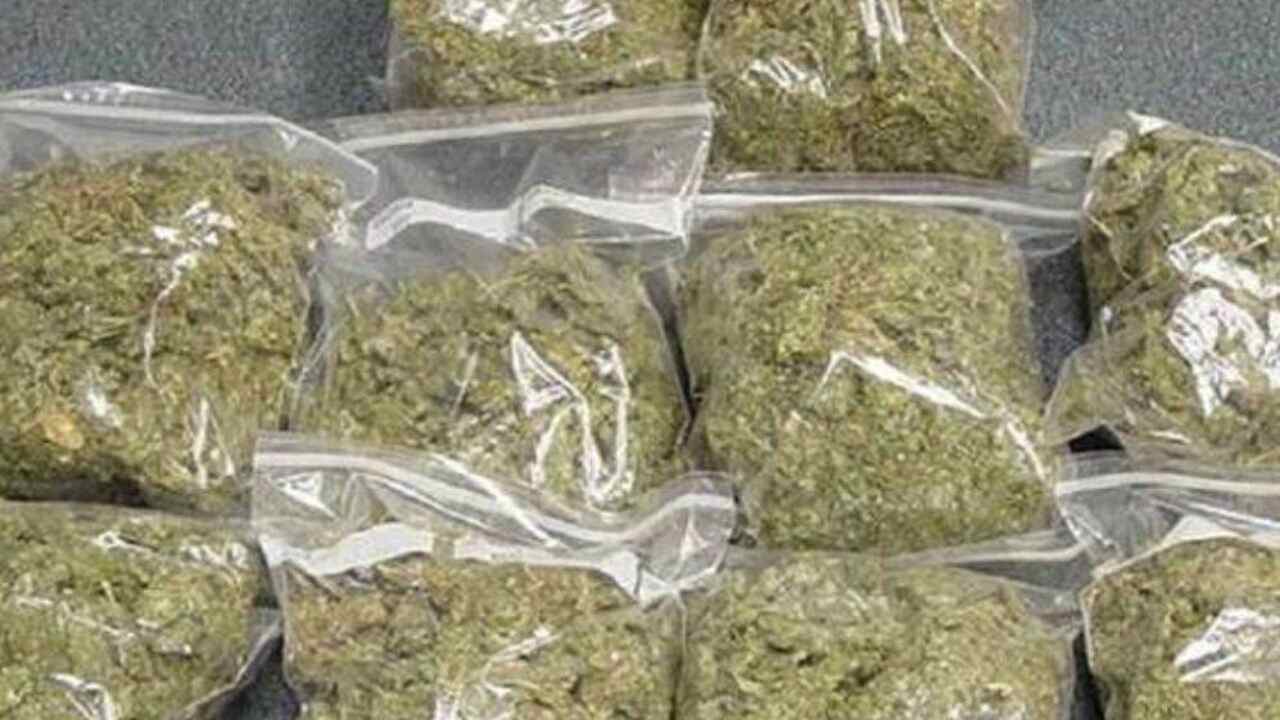 MP News : NCB की टीम 170 kg गांजा के साथ तस्कर को किया गिरफ्तार