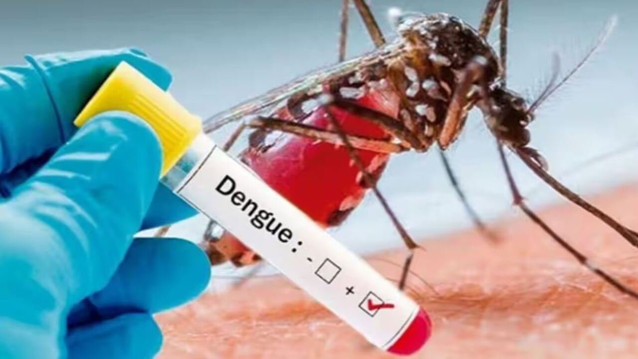 Dengue के बढ़ रहे लगातार मामले से मध्य प्रदेश स्वास्थ्य विभाग अलर्ट